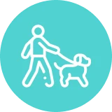 Walking a dog icon